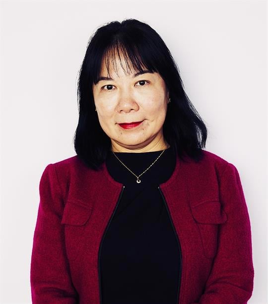 Portrait of Distinguished Professor Fang Chen.