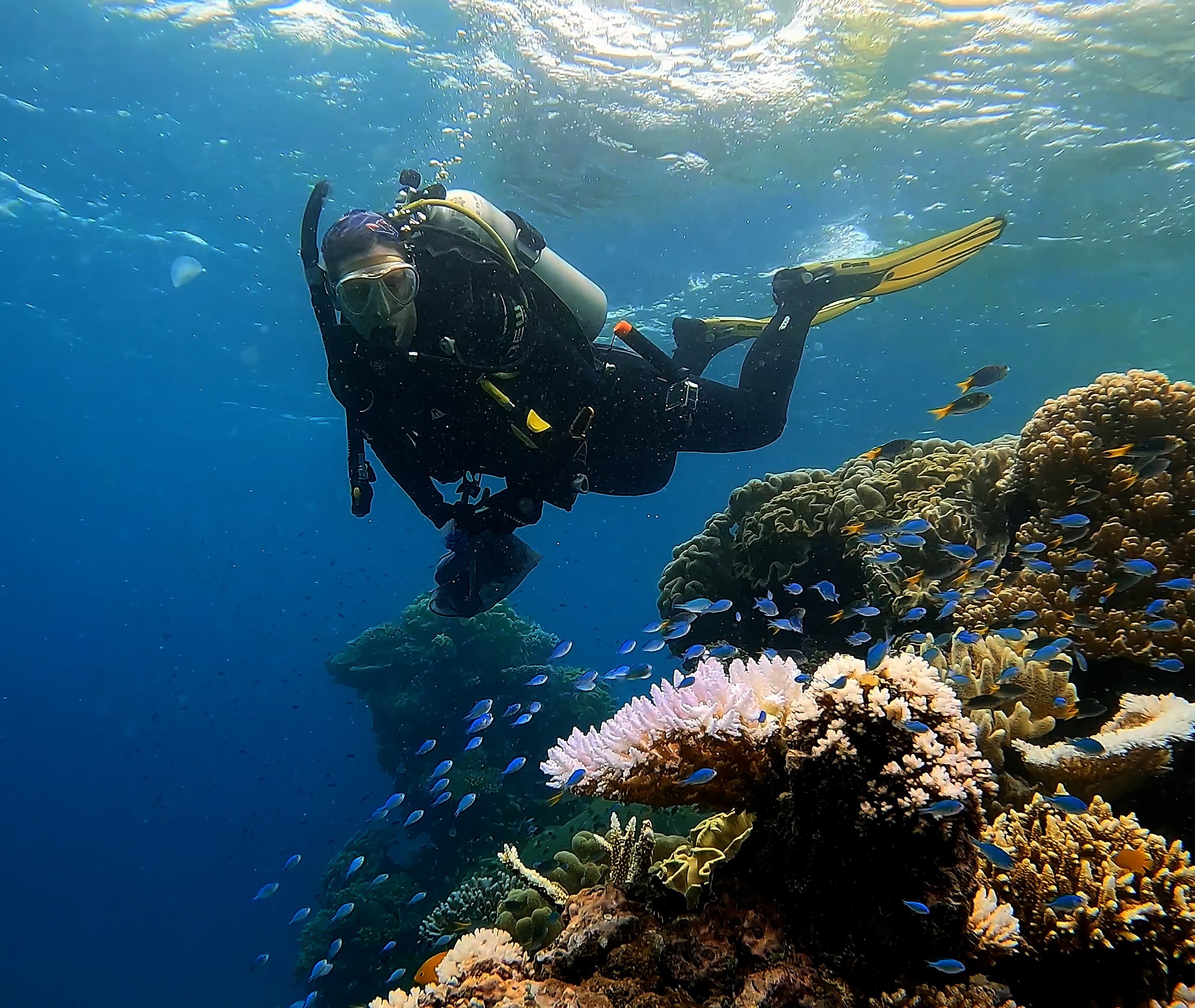 Dr Emma Camp scuba diving in the Great Barrier Reef