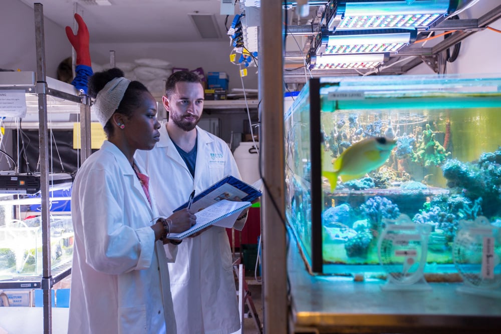 Two people in lab coats hold clipboards and inspect fish and coral in a fish tank at one of the Environmental Research Facilities at the University of Technology Sydney.
