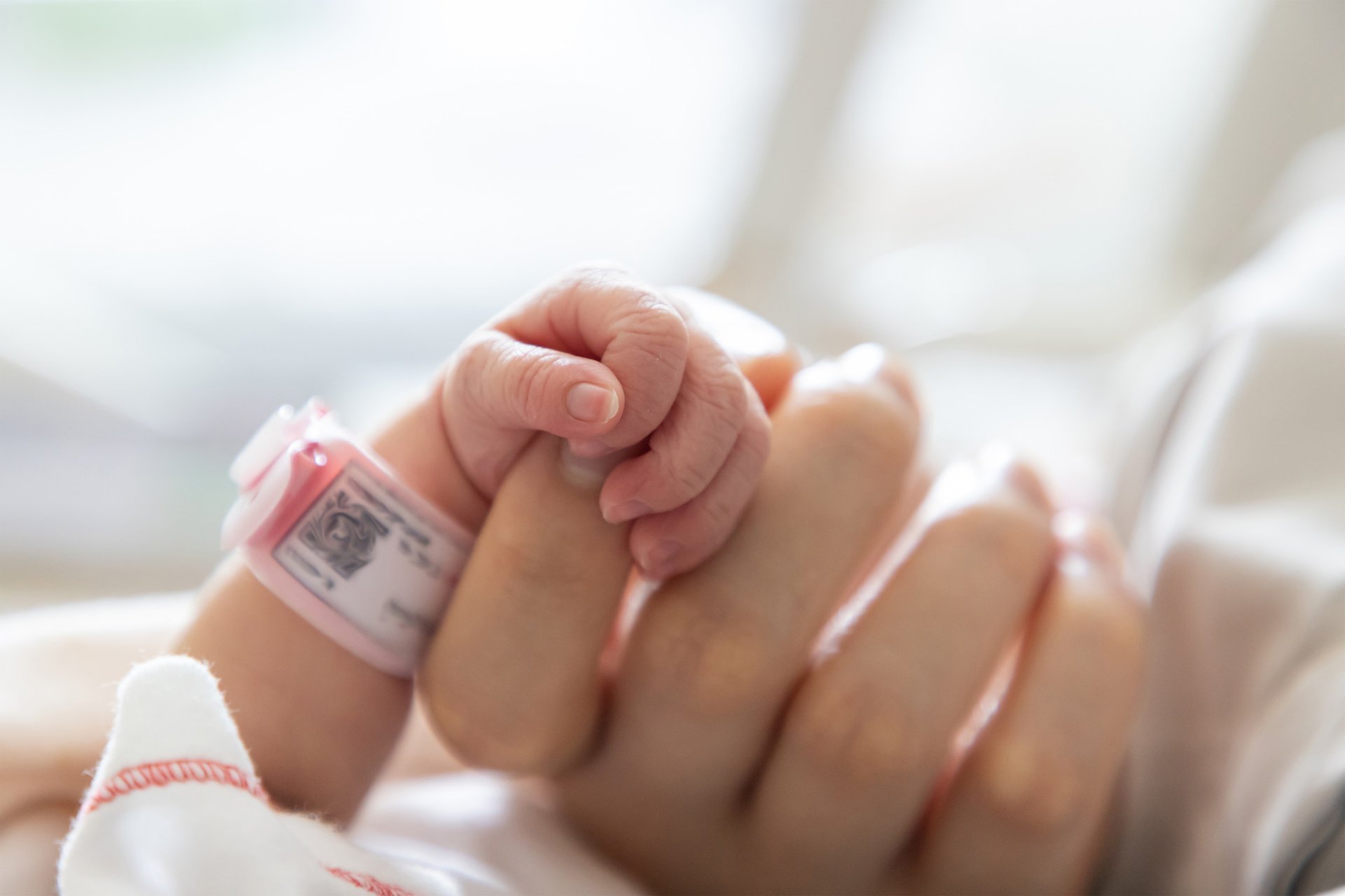Premature or preterm baby holding its mother's hand in hospital.