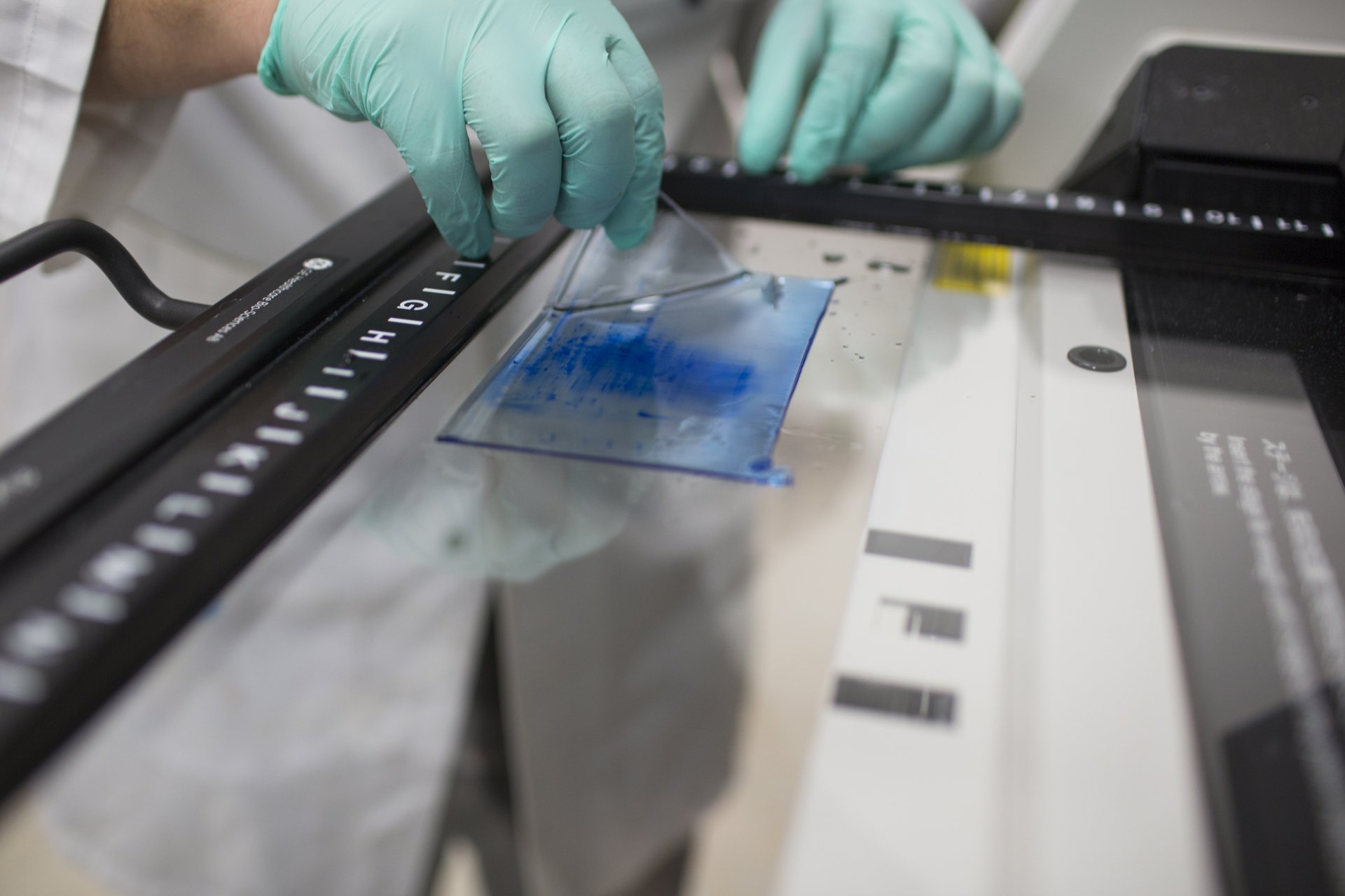 Close-up of hands wearing green rubber gloves inspecting a sticky blue substance in the Proteomics Core Facility at the University of Technology Sydney.